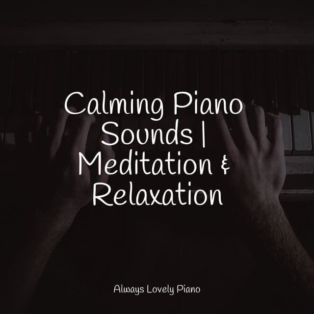 50 Powerful Tracks for Relaxation - Piano Time