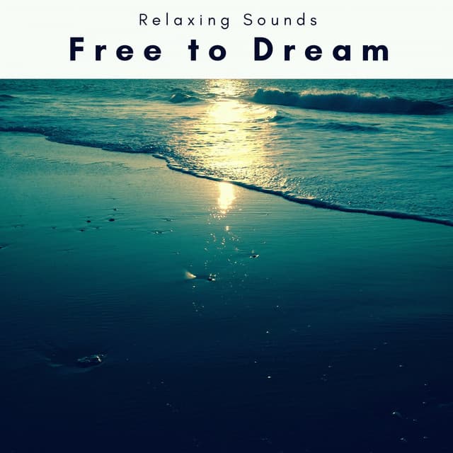 Free to Dream - Sleep Magic