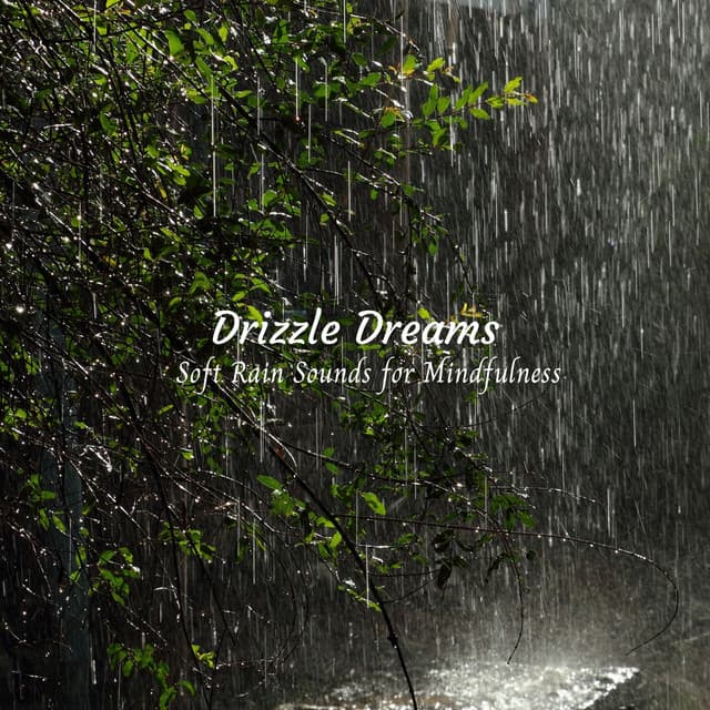 Drizzle Dreams: Soft Rain Sounds for Mindfulness - Rain relax