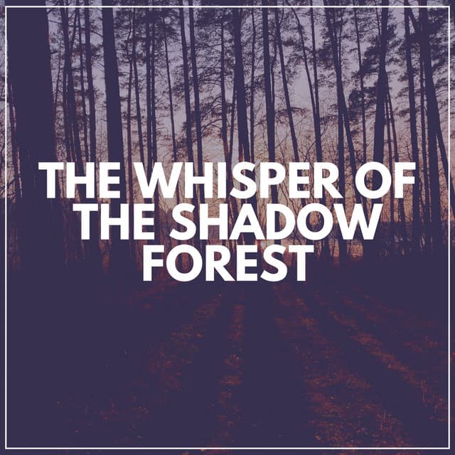 The Whisper of the Shadow Forest - Organic Sound
