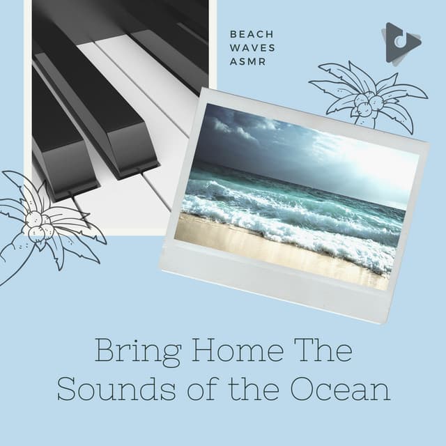 Bring Home The Sounds of the Ocean - Beach Waves ASMR