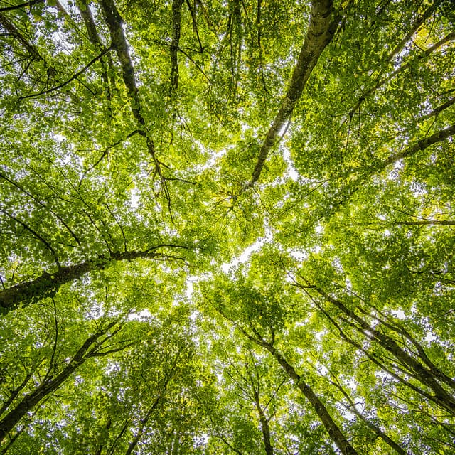 0 Hour: The Beginning Of Now - between waves