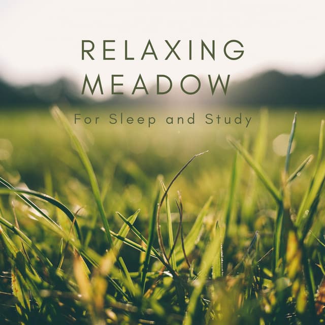 Relaxing Meadow for Sleep and Study - Natural Sounds Selections