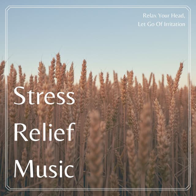 Stress Relief Music: Relax Your Head, Let Go Of Irritation - Asian Silence Duo
