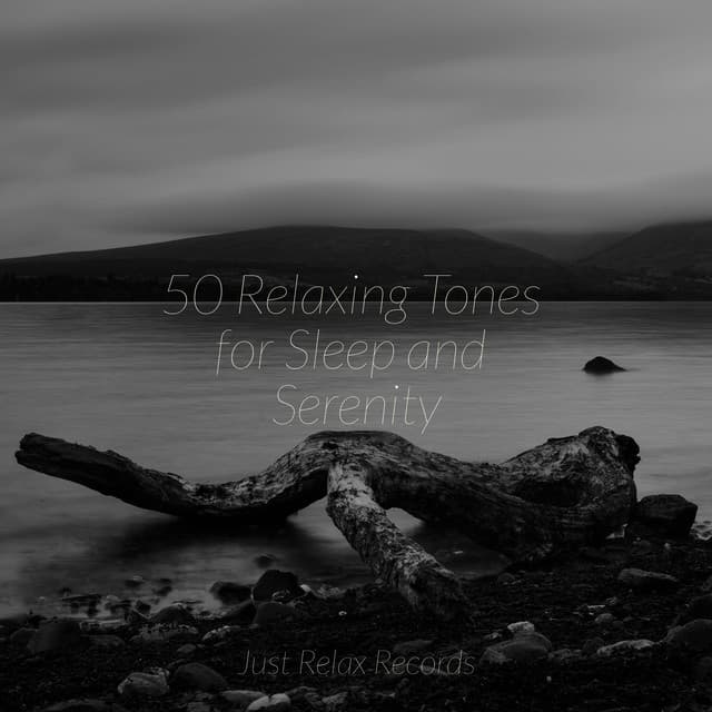 50 Relaxing Tones for Sleep and Serenity - Lucid Dreaming World-Collective Unconscious Mind