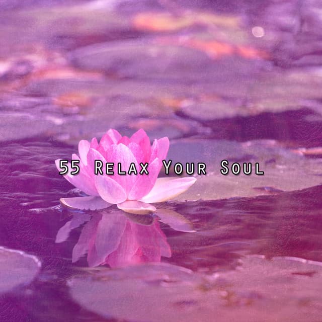 55 Relax Your Soul - Relaxation Study Music