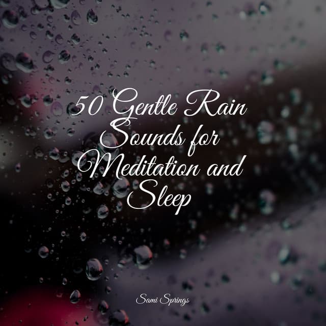 50 Gentle Rain Sounds for Meditation and Sleep - The Sleep Specialist