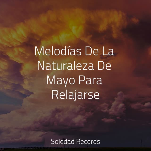Melodías De La Naturaleza De Mayo Para Relajarse - Masajes Spas