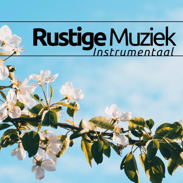 Rustige Muziek Instrumentaal - 13 liedjes voor diepe ontspanning - BioFeed