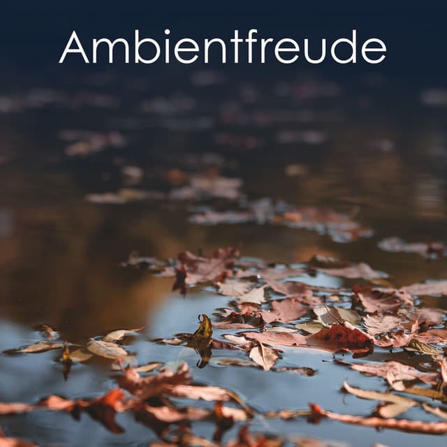 Ambientfreude - Schlaf Hilfe