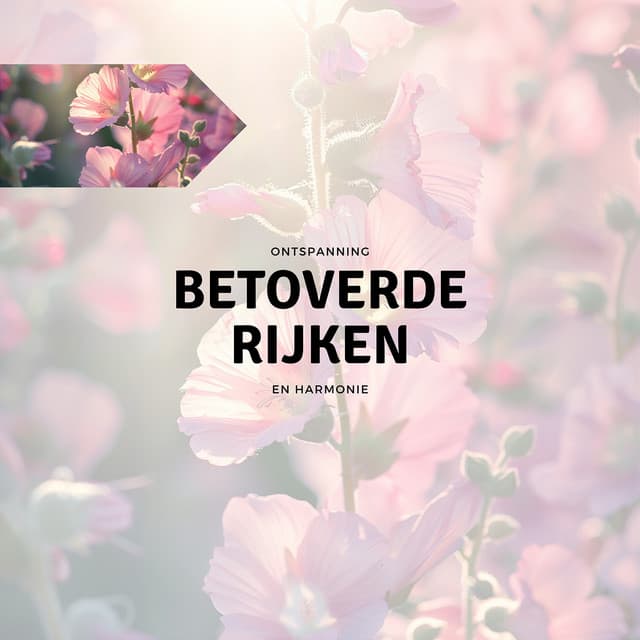Betoverde Rijken - Ontspanning en Harmonie