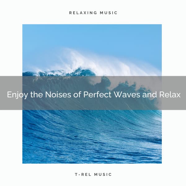 Enjoy the Noises of Perfect Waves and Relax - The Sleep Specialist