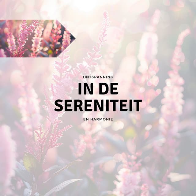 In de Sereniteit - Ontspanning en Harmonie