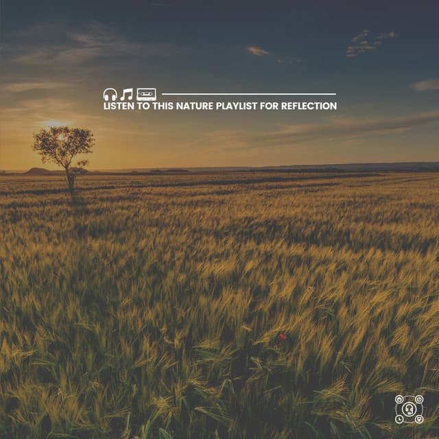 Listen to This Nature Playlist for Reflection - Natures Orchestra