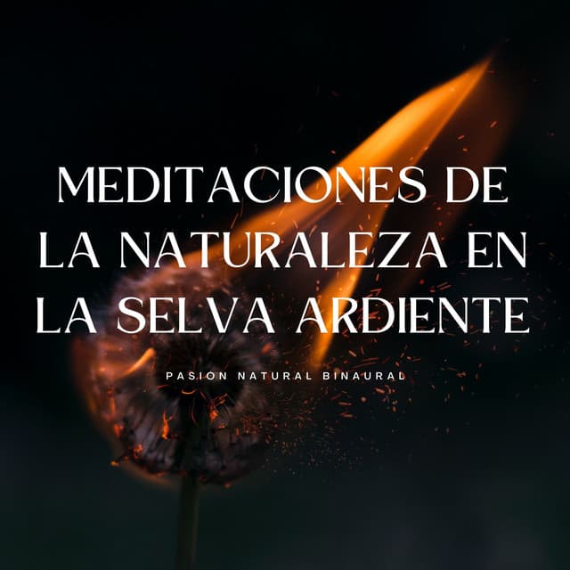 Meditaciones De La Naturaleza En La Selva Ardiente: Pasión Natural Binaural - Chakra de corazón abierto de 528 Hz