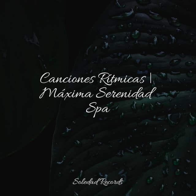 Canciones Rítmicas | Máxima Serenidad Spa - Academia de Música para Massagem Relaxamento