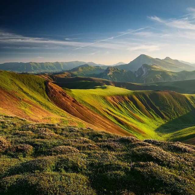 Relajación Pacífica: Melodías Para La Serenidad - Música tranquila de la mañana