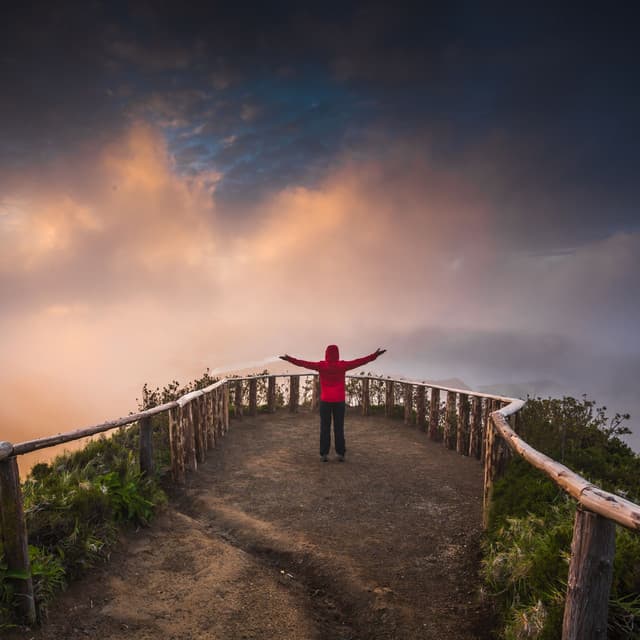 Solitude's Serenity: A Musical Retreat in Nature - Pinetree Way