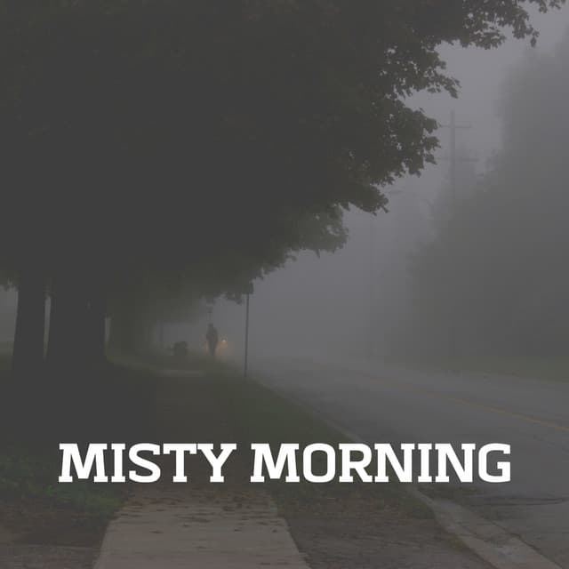 Misty Morning - Natsound