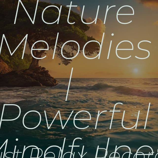 Comforting Nature Melodies | Powerful Mindfulness - Pro Sound Effects Library