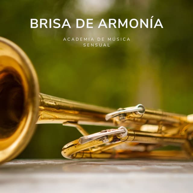 Brisa de Armonía: Jazz Relajante - Academia de Música Sensual