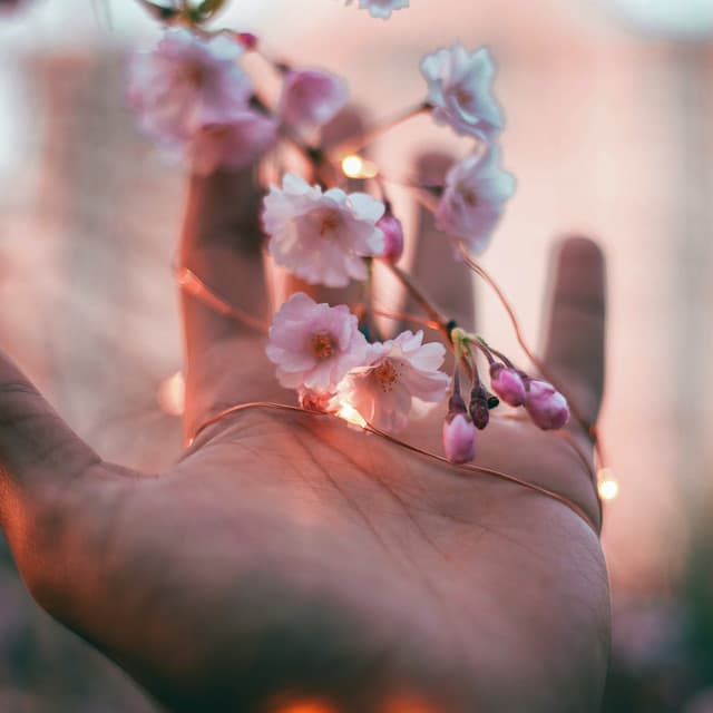 0 Hour Garden: Enchanted Growth - Spa Music Relaxation