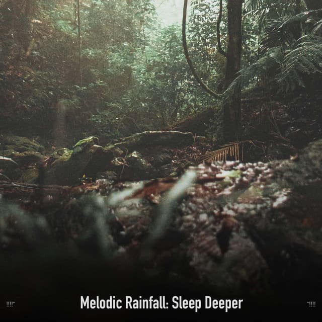 !!!!" Melodic Rainfall: Sleep Deeper "!!!! - Sonidos De Truenos y Lluvia