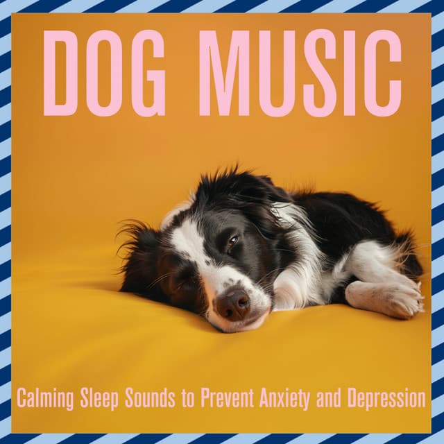 Dog Music: Calming Sleep Sounds to Prevent Anxiety and Depression - Relaxmydog