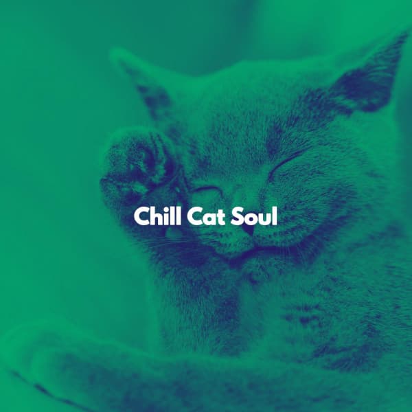 Chill Cat Soul - Lunch Time Music