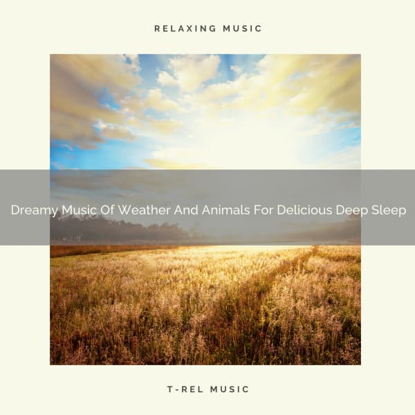 Dreamy Music Of Weather And Animals For Delicious Deep Sleep - The Outdoor Library