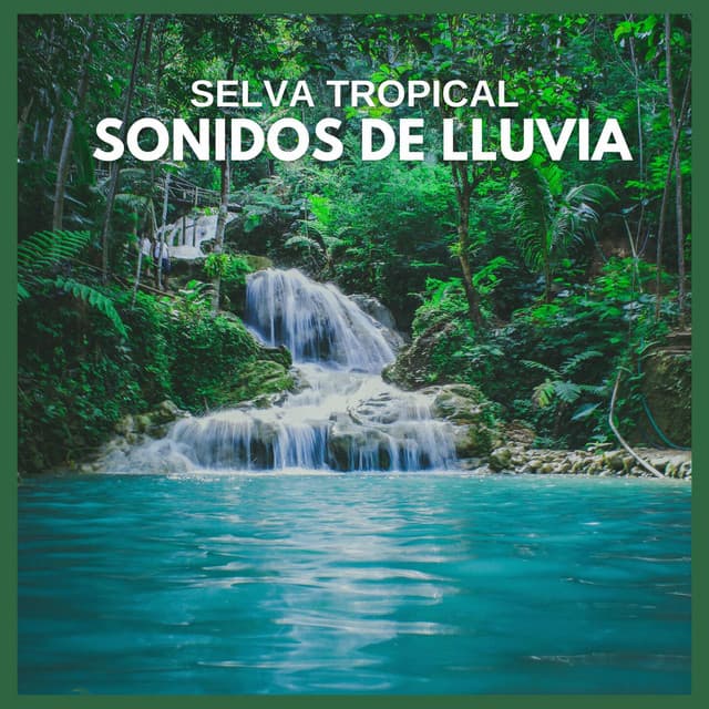 Selva Tropical: Sonidos de Lluvia - Sonidos De La Selva