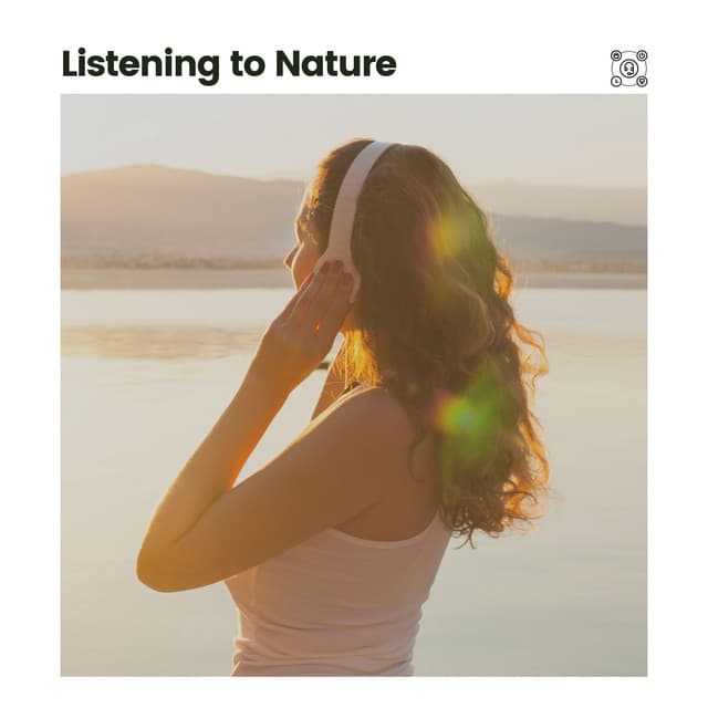 Listening to Nature - Cricket Sounds