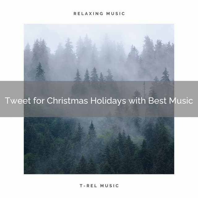 Tweet for Christmas Holidays with Best Music - Epic Soundscapes