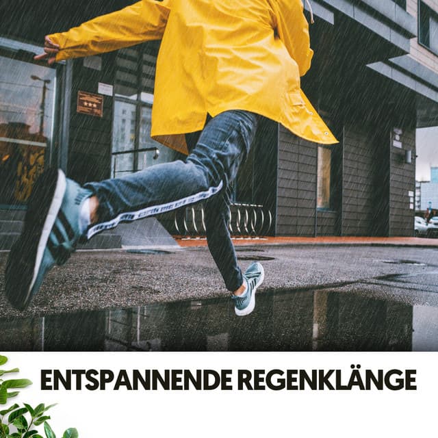 Entspannende Regenklänge: Ruhiger Regen und Windspiele - Entspannungsmusik Abteilung