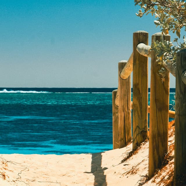 1 Coastal Night: Calm Your Mind - Coastal Sounds