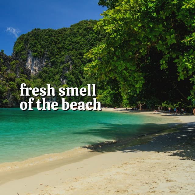 Fresh Smell of the Beach - Dreamstatician
