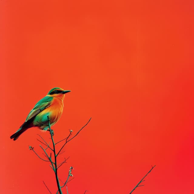Calma De La Naturaleza Binaural: Relajación De Aves Y Arroyo - 92 96 Hz - Recarga de la Tarde