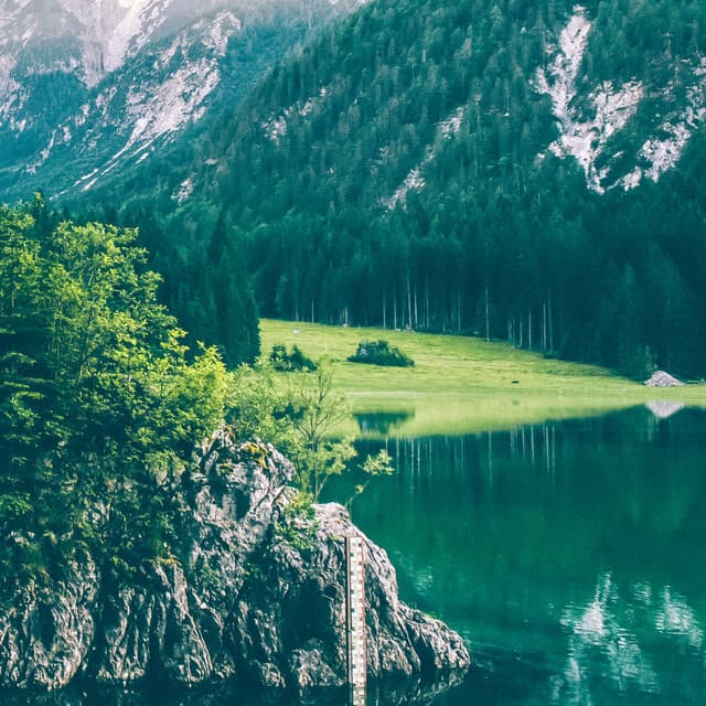 11:11 Mists of the Forgotten Forest - White Noise for Babies