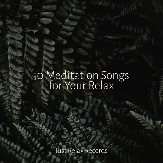 50 Meditation Songs for Your Relax - Sleepy Night Music