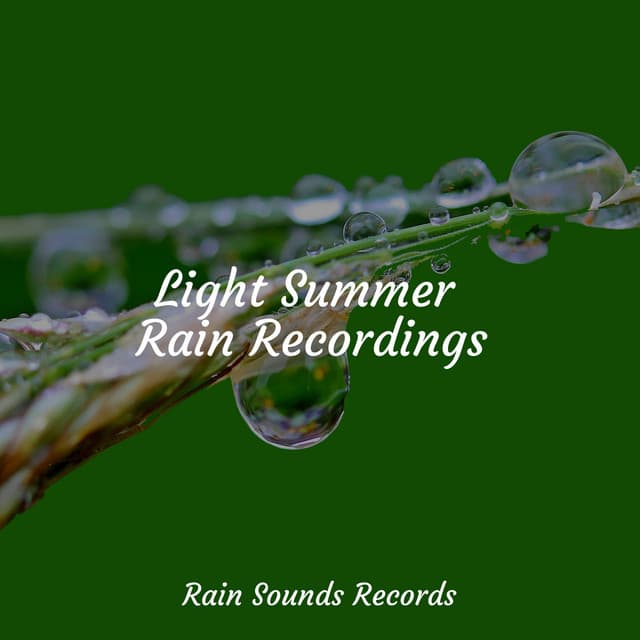Light Summer Rain Recordings - Sounds Of Nature : Thunderstorm, Rain