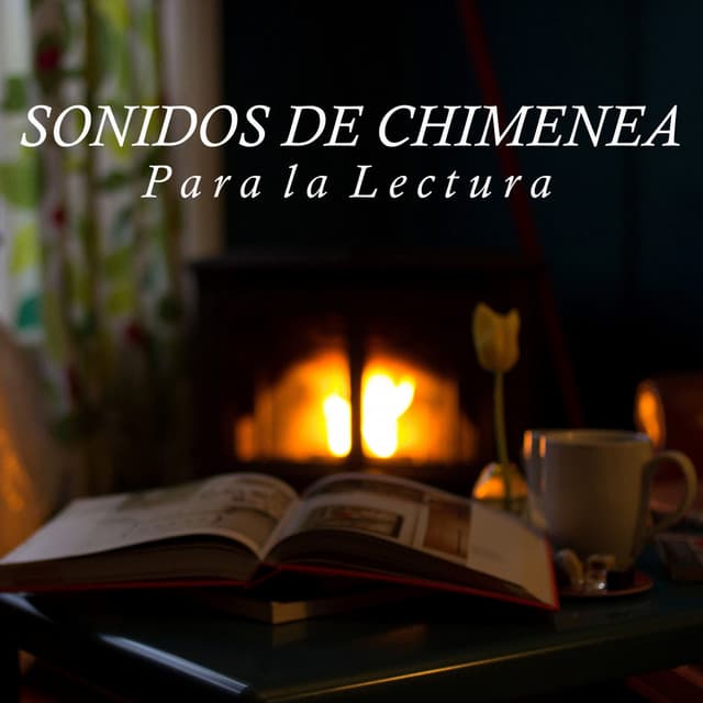 Sonidos de Chimenea para la Lectura - Musica para Estudiar Specialistas