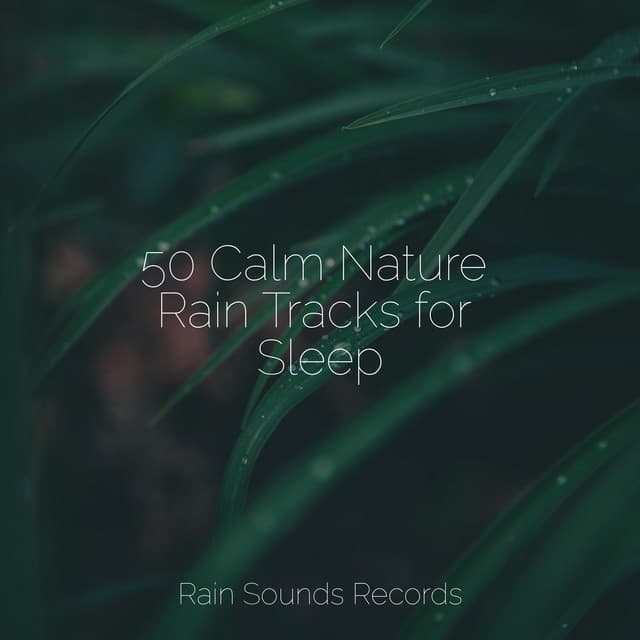 50 Calm Nature Rain Tracks for Sleep - Sounds of Nature Relaxation