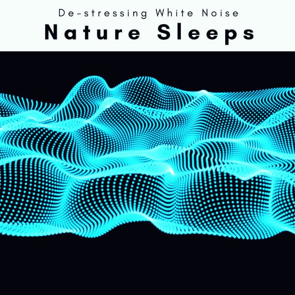 2022 Nature Sleeps - De-stressing White Noise
