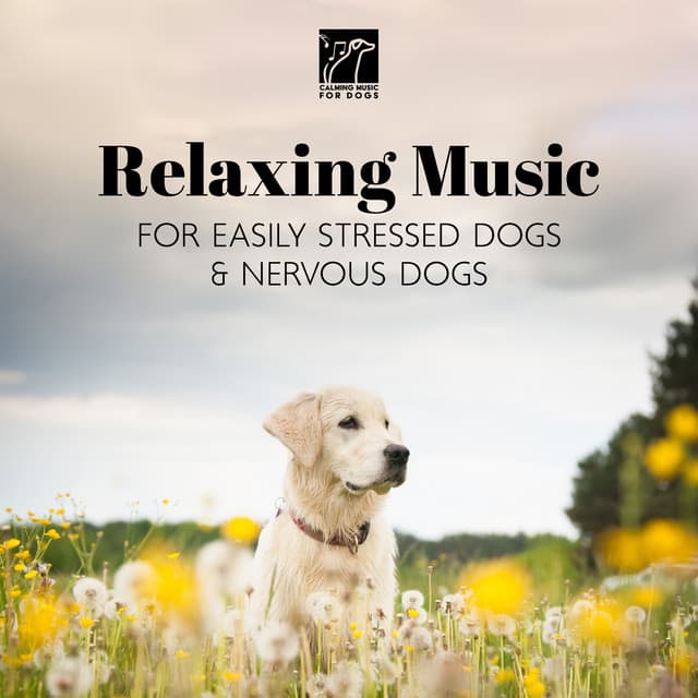 Relaxing Music for Easily Stressed Dogs & Nervous Dogs - Calming Music for Dogs
