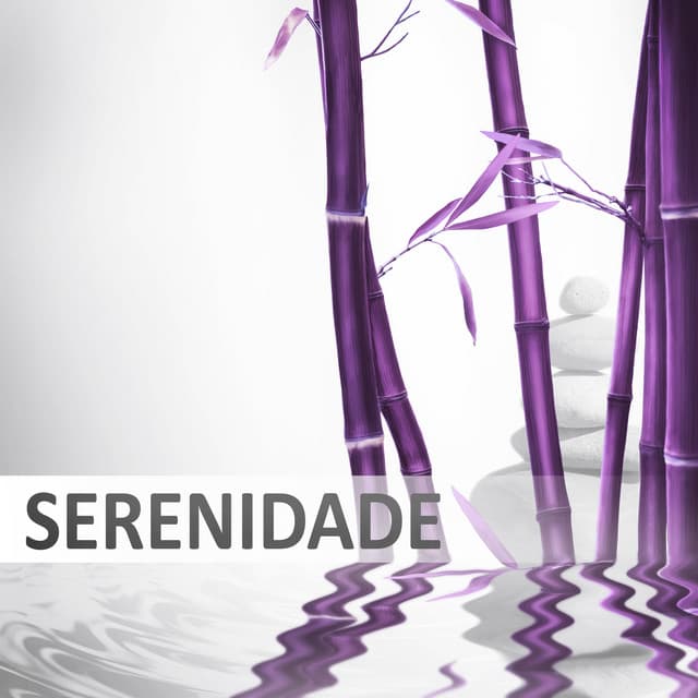Sernidade - Música Spa e Wellness, Relaxamento, Ioga, Reiki, Sons da Natureza, Sons de Água, Chuva, Calma, Tranquilidade, Música de Fundo, Yoga - Academia de Música para SPA