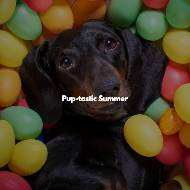 Pup-tastic Summer - Upbeat Morning Music