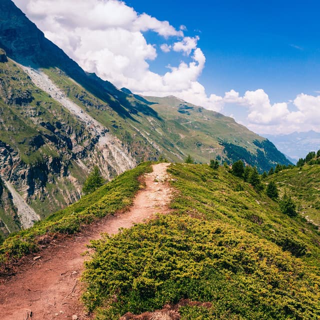 Melodic Nature Trails: A Serene Symphony Under the Sky - Under Bare Sky
