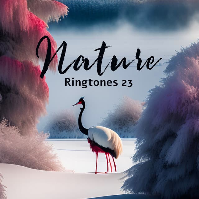 Nature Ringtones 23: Collection of Loopable Rain Showers and Flowing Water for Mind Relief, Yoga and Meditation - Joshua Forest