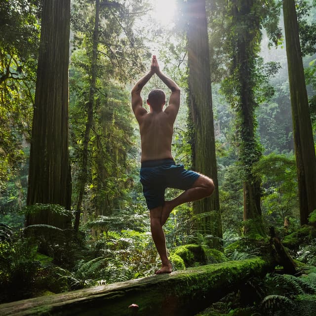 Flujo De Yoga: Armonías De Guitarra Para El Equilibrio - Musica Relajante de Guitarra