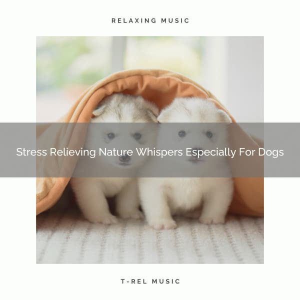 Stress Relieving Nature Whispers Especially For Dogs - Pets Total Relax